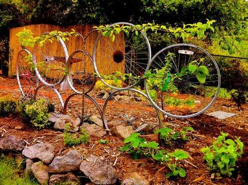 Chia sẻ một số ý tưởng trang trí vườn tuyệt hay với xe đạp cũ